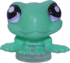 #T41 Teensiest Frog
