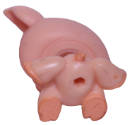 #0998 Pig