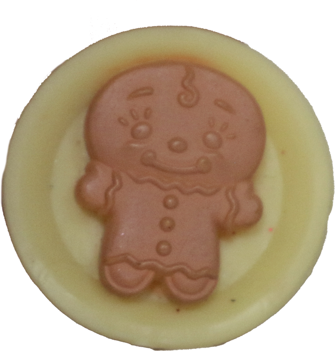 Gingerbread Cookie Plate