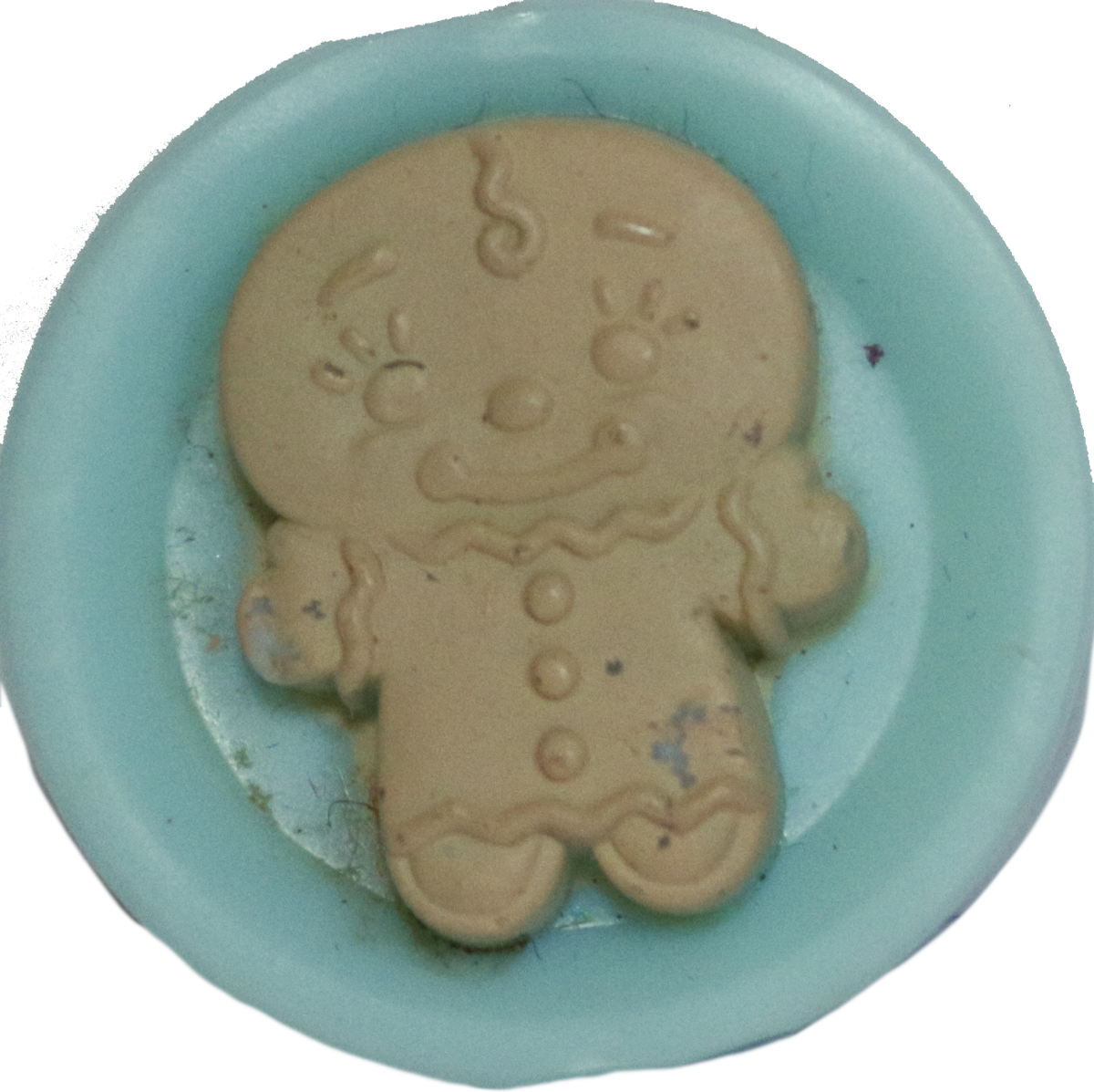 Gingerbread Cookie Plate