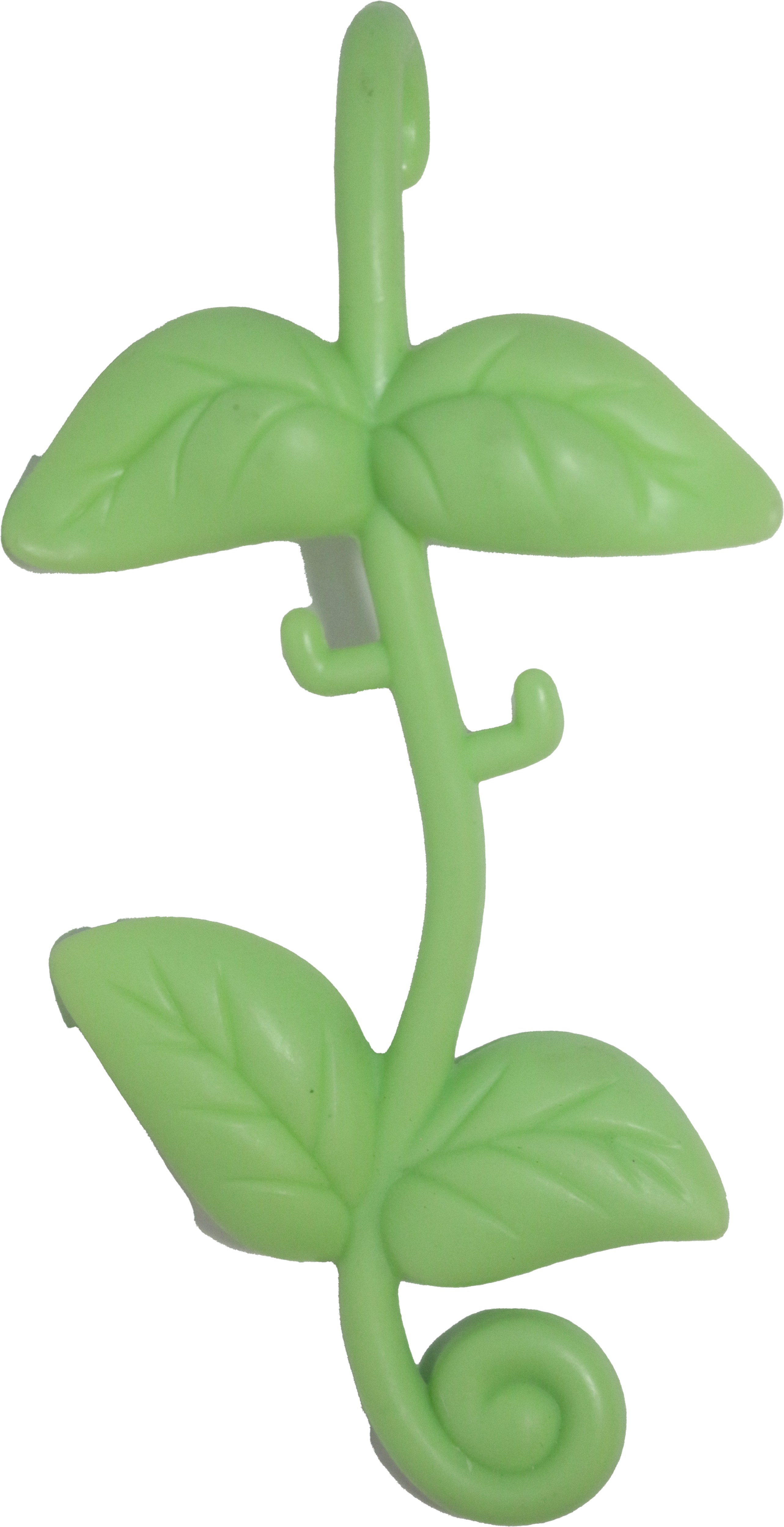 Jungle Vine